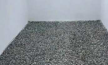 Imagem 5: Geminado - Parque Guarani