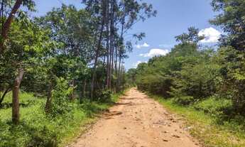 Imagem 7: Fazenda Fazenda / sítio com venda por R$485.000