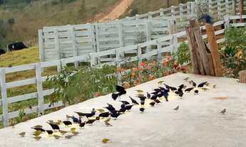 Imagem 6: Fazenda/Sítio/Chácara 24.0000 ² Desterro de Entre Rios