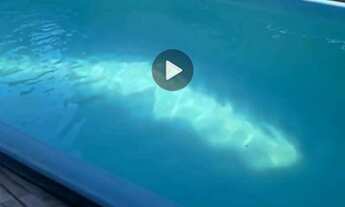 Imagem 3: Alugo casa com piscina em Itaparica /praia de Aratuba