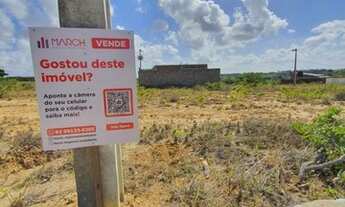 Imagem 3: Vendo lotes 10m x 20m, a 10 minutos da praia de Carapibus, litoral Sul da Paraíba