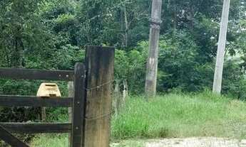 Imagem 3: Área Rio Abaixo