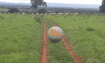 Imagem: Chácara com 2 dormitórios à venda, m²