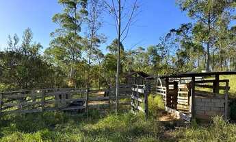 Imagem 4: Terreno 35.000m2 c/ água corrente, luz ao lado e ótima localização em Desterro de Entre Ri