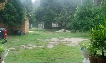 Imagem 3: Vendo ou Alugo Sitio a 18km de Timon Com 2 Casas - 1 Hectare