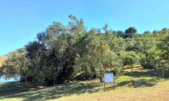 Imagem 3: TRANSFIRO DÍVIDA DA CAIXA TERRENO 257M CONDOMÍNIO HELENA MARIA WANEL VILLE