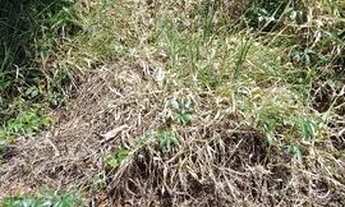 Imagem 5: Terreno em bauru, 1000 metros,(vale do igapó)