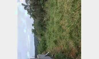 Imagem: Terreno para Chácara