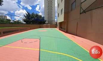 Imagem 5: São Paulo - Apartamento Padrão - São Lucas