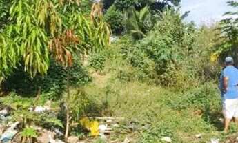 Imagem 4: Terreno gigante !!!