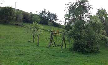 Imagem 4: Casa na Barragem do Salto em São Francisco de Paula