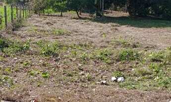 Imagem: Vende-se terreno no polo Benfica