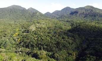 Imagem 3: Área à venda, 79601 m² por R$ 300.000,00 - Portal da Graciosa - Campina Grande do Sul/PR