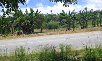 Imagem 2: Terreno Vendo Dist 2 Av Puraquequara