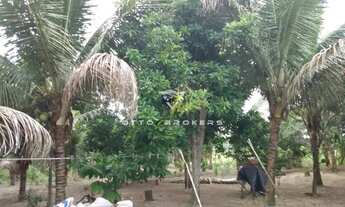 Imagem 4: SITIO RURAL em PORTO SEGURO - BA, zona rural