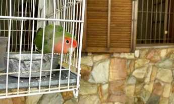 Imagem: Casa com 3 dormitórios à venda em Belo