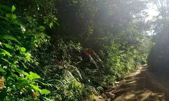 Imagem 5: Terreno no bairro Chapadão em Canela!