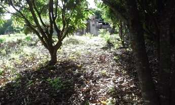 Imagem 6: Chácara 9.500m² com um barracão, muita água, terra boa/Jaboticatubas, temos varias opções