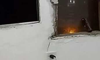 Imagem 2: Aluguel Casa com 1 dormitório