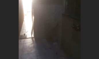 Imagem 6: Casa Jardim botânico saída pra guapó