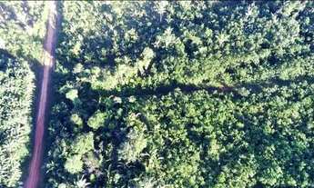 Imagem 4: Terreno 500.000m2