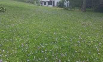 Imagem: Belíssima Chácara de 4,5 ha