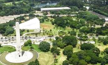 Imagem: Altier Moema Pássaros