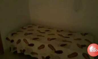 Imagem 6: Santo André - Casa Padrão - Vila Gilda