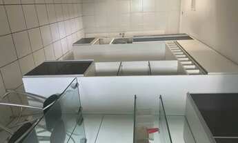 Imagem 7: Alugo apt no Farol da ilha vista mar