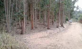 Imagem: Propriedade rural com Cachoeira e Eucalipto