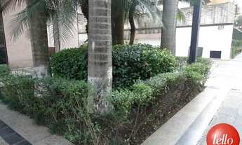 Imagem 6: São Paulo - Conjunto Comercial/Sala - Jardins