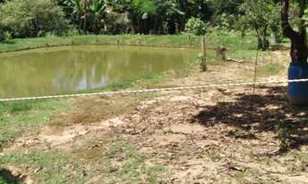 Imagem 7: Sítio no Sul de Minas Gerais