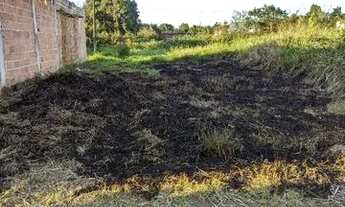 Imagem 2: Terreno jesuítas