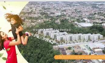 Imagem 3: Engenho planalto