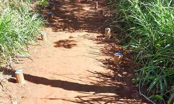 Imagem 3: Lote Jardins Parma 253m²