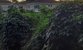 Imagem 5: Engenho do Mato rua pavimentada lindo lote