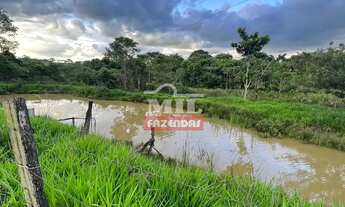 Imagem 4: Chácara 2 alqueires (9,68 hectares) Avelinópolis - Go