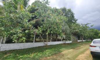 Imagem: Sítio no Km 26 da AM 070 Porteira Fechada