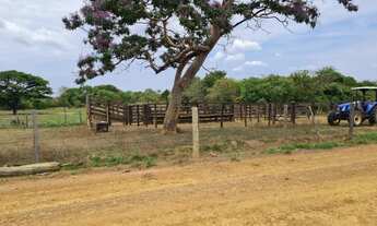 Imagem: Oportunidade! Vende-se uma excelente fazenda