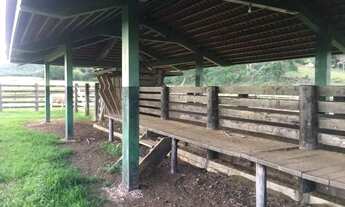 Imagem 4: Fazenda de 165 alqueires a venda em Jandaia-Go