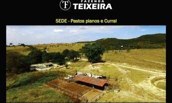 Imagem: FAZENDA TEIXEIRA - EM FRENTE AO OUTLET