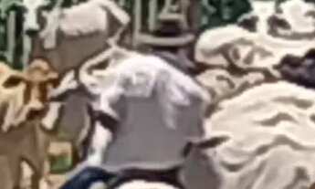 Imagem 7: Fazenda 137 há Arinos MG