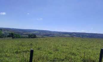 Imagem 3: Fazenda 19 Alq. em Abadiânia R$ 350 mil por Alqueire