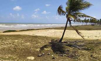 Imagem 6: OPORTUNIDADE: EXCELENTE ÁREA NA BARRA DOS COQUEIROS - SE 400m DE PRAIA