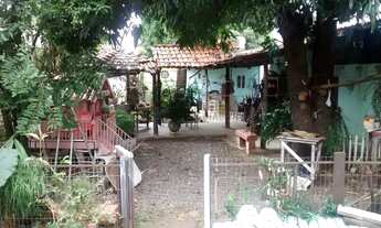 Imagem 4: Terreno Bairro Jardim Primavera