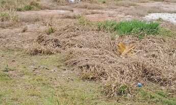 Imagem 3: Condomínio Bhotanica Jarinú