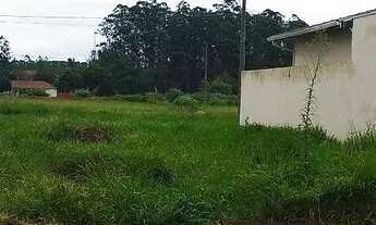 Imagem 3: Terreno em Pindamonhangaba