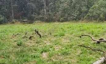 Imagem 6: Terreno Urbano para Venda em Quatro Barras, Centro