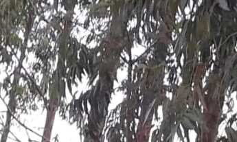 Imagem 2: Chácara a venda