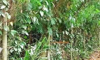 Imagem 6: Terreno à venda, 900 m² por R$ 1.100.000,00 - Engenho do Mato - Niterói/RJ